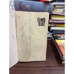 Tình Cát - Nguyễn Quang Lập - Nguyễn Quang Lập 1005808