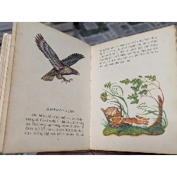 Kiến và chim bồ câu - Lép Tôn-xtôi ( Sách Liên Xô ) 122346