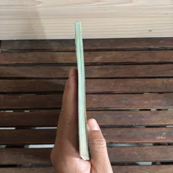 II Cây Cảnh: Xương Rồng Và Cây Mọng Nước (Sách Màu) - Dương Ngọc Hiệp 718585