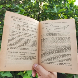 Cá Biển Việt Nam - The Marine Fishes Of VietNam - Tập 1 526446