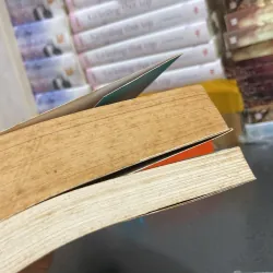 (Đam mỹ) - Phồn Chi - Ngô Trầm Thuỷ ( 2 tập ) 975170