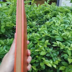 Hổ phù kịch lịch sử của Quách Mạt Nhược  994799