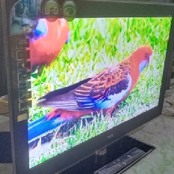 Tivi Led Mỏng 32" TCL Viền Kính Full Phụ Kiện Thanh lý 6234