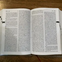 Từ Điển Tiếng Việt - Viện ngôn ngữ (11) 1021294