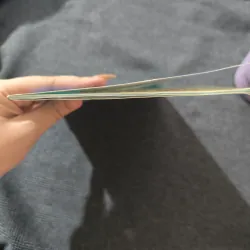 Who Would Win? Killer Whale vs. Great White Shark - Jerry Pallotta 754576