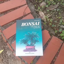 Bon sai cây dáng, thế và Non bộ