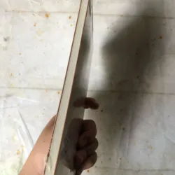 Hoa Của Phế Tích - Patrick Modiano 735267