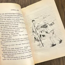 ✨𝑳𝒂𝒎𝒃 𝒊𝒏 𝒕𝒉𝒆 𝑳𝒂𝒖𝒏𝒅𝒓𝒚✨ 689619