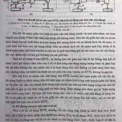 BẢO DƯỠNG VÀ SỬA CHỮA HỆ THỐNG TRUYỀN LỰC Ô TÔ 474838