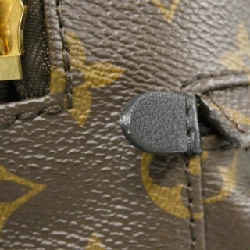 Ba lô Louis Vuitton Monogram Palm Springs PM M41560 - Hàng hiệu Authentic 764501