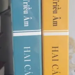 Hai Cánh Nhà Ni - Tỳ Kheo Ni Hải Triều Âm 718746