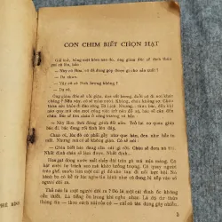 CON CHIM BIẾT CHỌN HẠT 606587