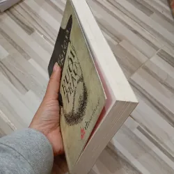 Ruồi Trâu tiểu thuyết  971244