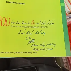 Atlas 300 Loài Chim Thuộc Bộ Sẻ Của Việt Nam - Phạm Hồng Phương 788319