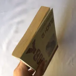 Bobby Đi Hoang | Albert Payson Terhune 799237