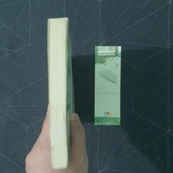 "Đôi khi muốn có ai đó cạnh bên" - Hi Trần 492910