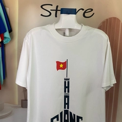 Áo Thun Oversize-Local Brand-Form rộng-full màu-new-In+Trơn 461100