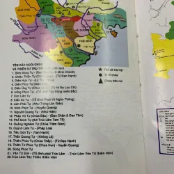 TỪ ĐIỂN THUẬT NGỮ THIỀN TÔNG (BÌA CỨNG)  - THÔNG THIỀN 1020965