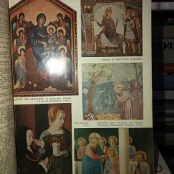 Petit larousse  799910