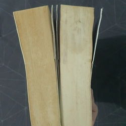 Combo "Lên cung trăng tìm tình yêu" - Hoa Thanh Thần 492904