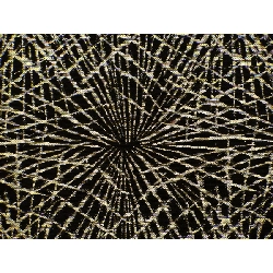 Đai Nagoya Mở Nagoya Toàn bộ hoa văn - Hàng hiệu Authentic 874942