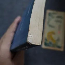 Thất lạc cõi người 733989