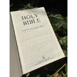 Holy Bible: New International Version