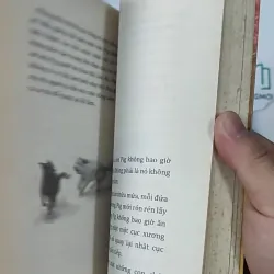 Con Chó Nhỏ Mang Giỏ Hoa Hồng - Nguyễn Nhật Ánh 798346