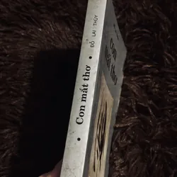 Con mắt thơ - Đỗ Lai Thuý 711336