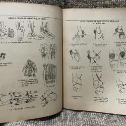 Nguyên tắc chấn thương chuyển hình- NGUYỄN VĂN QUANG  1009202