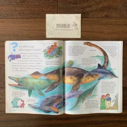 Sách ngoại văn I Wonder Why: Triceratops Had Horns, Used, Bìa mềm 756489