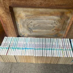 Truyện Kaze Hikaru - Trọn Bộ 45 Tập - NXB Trẻ 273049