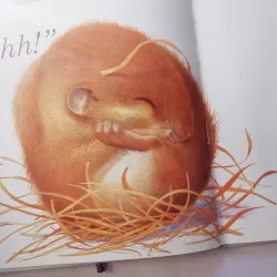 If You See a Kitten 993532