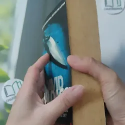 [MIỄN PHÍ BỌC SÁCH] The Innocent - David Baldacci 1027505