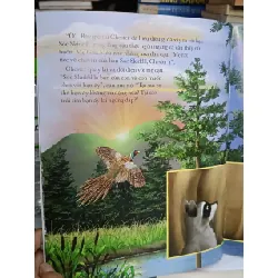 Gấu Mèo Chester và quả sồi đong đầy kỷ niệm - Thùy Nguyễn (dịch) 688004