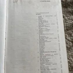 Иллюстрированный темотиЧеСкий-  словарь русского ЯЗЫКО- từ điển minh họa tiếng Nga  1003978