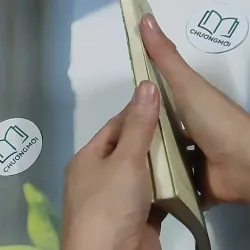 Truyện Kiều 698586