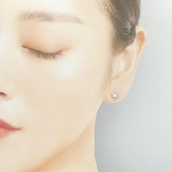 PT900 Bông tai kim cương 0.23CT - Hàng hiệu Authentic 866685