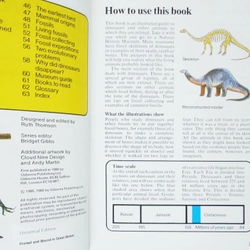 Usborne Spotter's Guides: Dinosaurs 461730