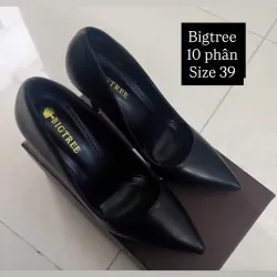 Giày cao gót Bigtree 10 phân size 39