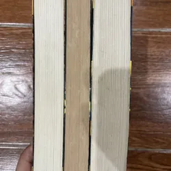 Pháp Thuật - Kinh Công - Y Thuật  Septimus Heap - Angie Sage - 3 tập (5) 621084