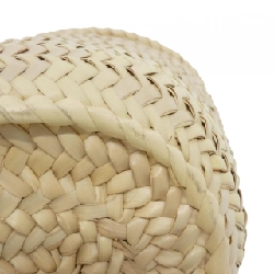 Túi Celine Teen Triomphe Panier 194002CGG 616516