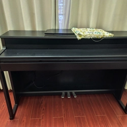 Đàn điện Piano THE ONE PLAY  379557