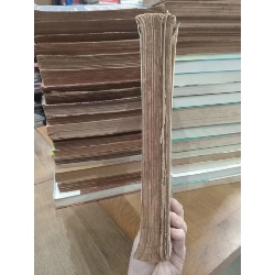 Tổ chức đời sống gia đình - Triệu Thị Chơi 779698