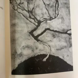 ĐÃ LÀ MỘT PHIỀN TOÁI - NG. ANHANH 1002472