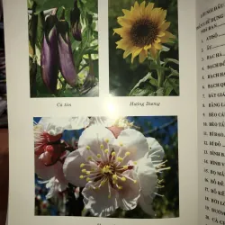 Cẩm nang chăm sóc sức khỏe cho mọi nhà - Hướng dẫn sử dụng cây thuốc và vị thuốc Việt Nam  749051