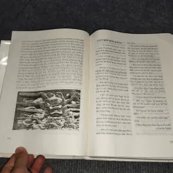 VĂN MINH RỒNG VÀ NĂM 2000 957883