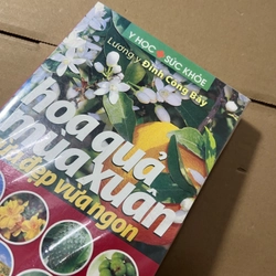 Hoa Quả Mùa Xuân 528298
