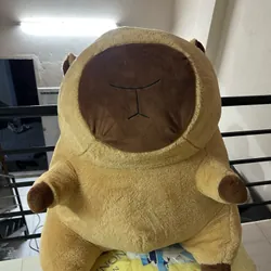Gấu Capybara 1071716