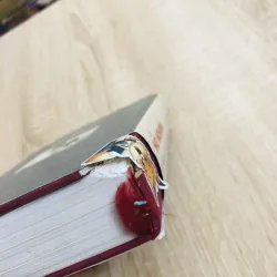 HỒ NGHINH MỘT CHIẾN SĨ MỘT CON NGƯỜI  970477